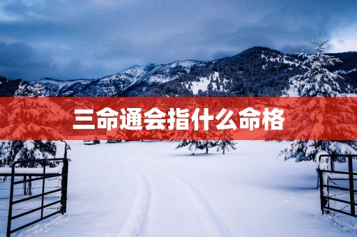 三命通会指什么命格