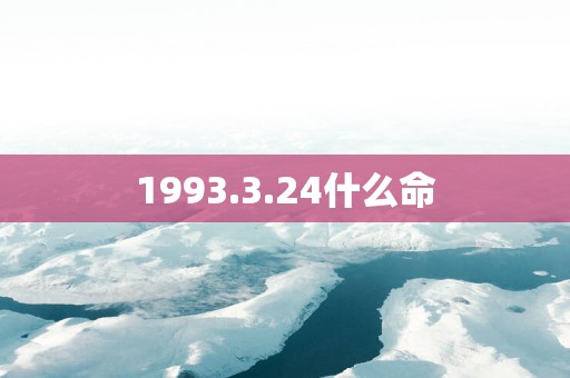 1993.3.24什么命