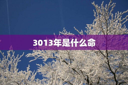 3013年是什么命