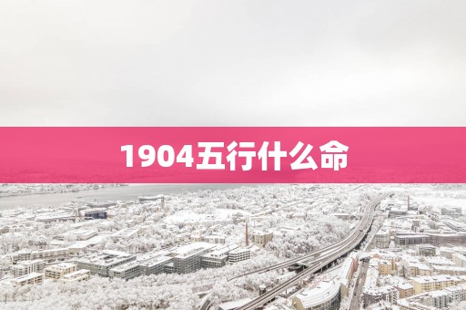 1904五行什么命