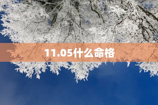 11.05什么命格