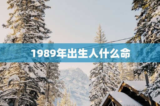 1989年出生人什么命