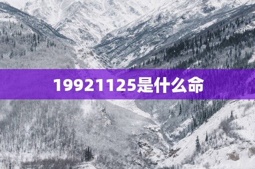 19921125是什么命