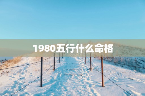 1980五行什么命格