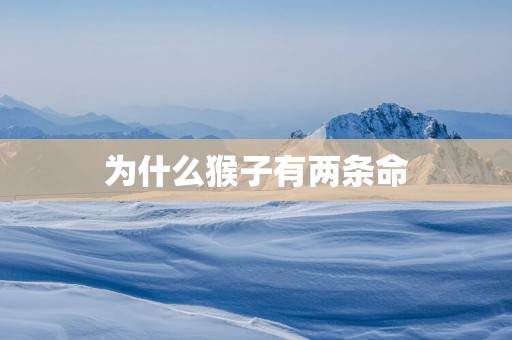 为什么猴子有两条命