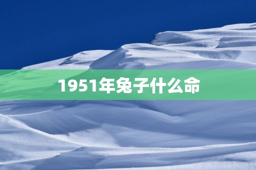 1951年兔子什么命