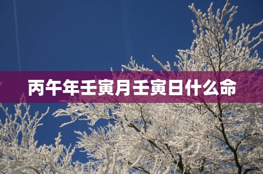 丙午年壬寅月壬寅日什么命