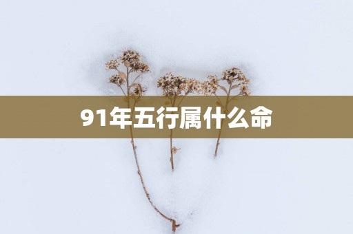 91年五行属什么命