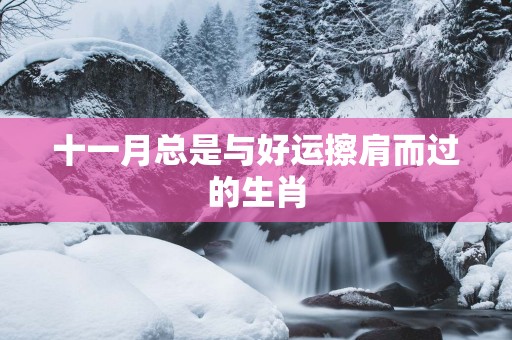 十一月总是与好运擦肩而过的生肖