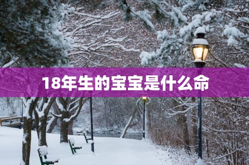 18年生的宝宝是什么命