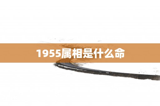 1955属相是什么命