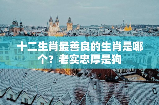 十二生肖最善良的生肖是哪个？老实忠厚是狗