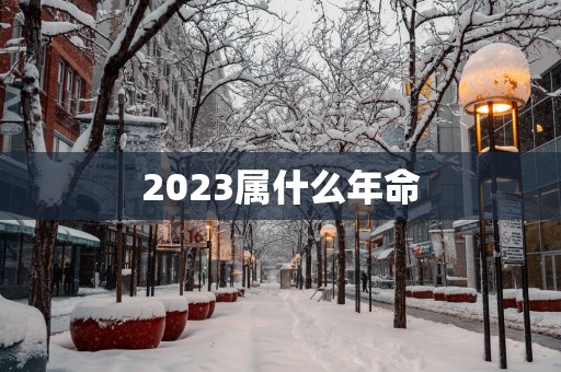 2025属什么年命