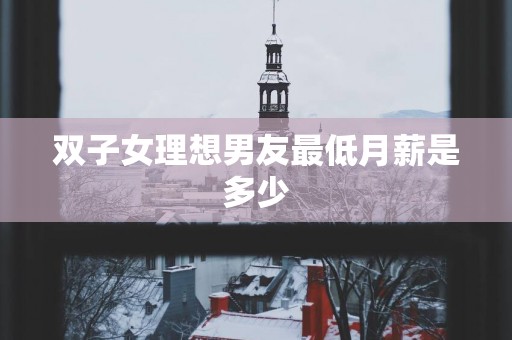 双子女理想男友最低月薪是多少