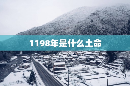 1198年是什么土命