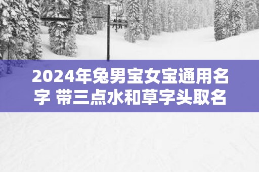 2025年兔男宝女宝通用名字 带三点水和草字头取名