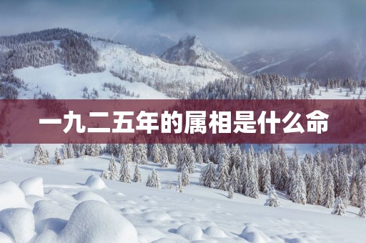 一九二五年的属相是什么命