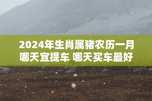 2025年生肖属猪农历一月哪天宜提车 哪天买车最好
