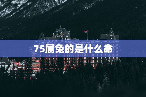 75属兔的是什么命