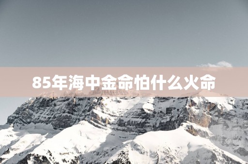 85年海中金命怕什么火命