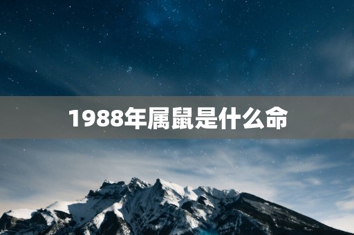 1988年属鼠是什么命