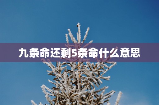 九条命还剩5条命什么意思