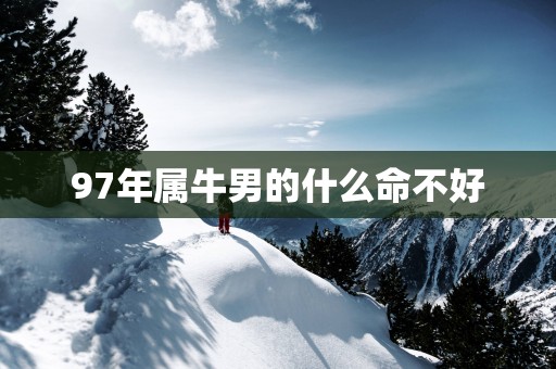 97年属牛男的什么命不好