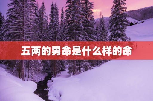 五两的男命是什么样的命
