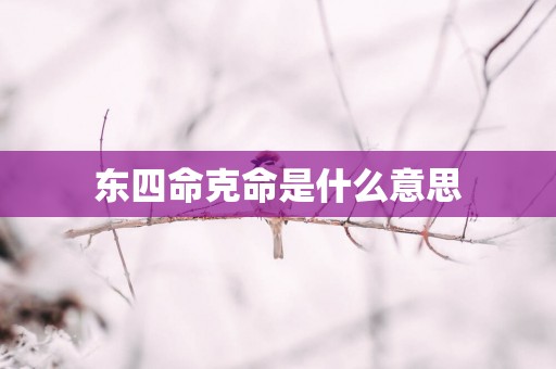 东四命克命是什么意思
