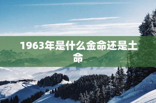 1963年是什么金命还是土命