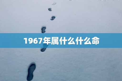 1967年属什么什么命
