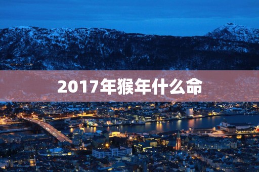 2017年猴年什么命