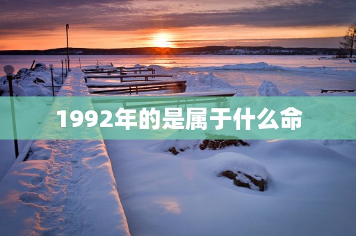 1992年的是属于什么命