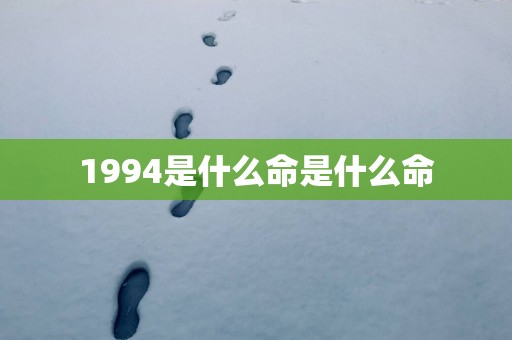 1994是什么命是什么命