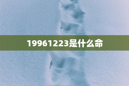 19961223是什么命