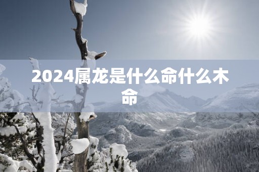 2025属龙是什么命什么木命