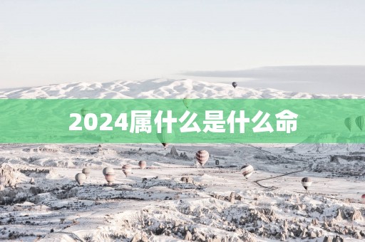 2025属什么是什么命