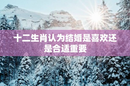 十二生肖认为结婚是喜欢还是合适重要