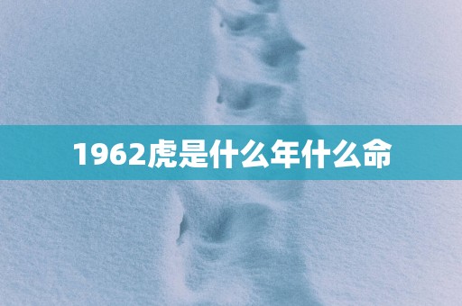1962虎是什么年什么命