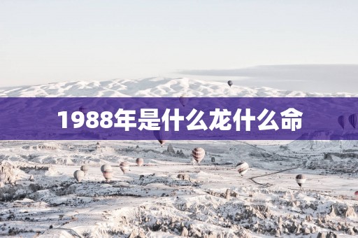 1988年是什么龙什么命