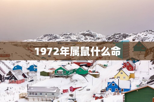 1972年属鼠什么命