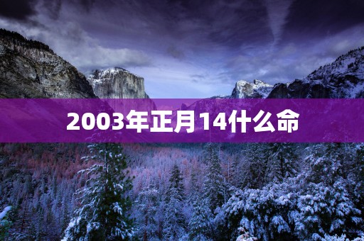 2003年正月14什么命