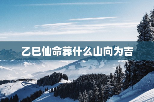 乙巳仙命葬什么山向为吉