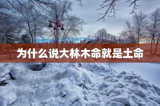 为什么说大林木命就是土命