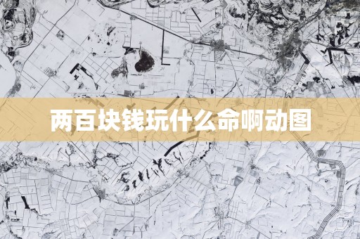 两百块钱玩什么命啊动图