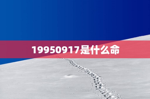 19950917是什么命