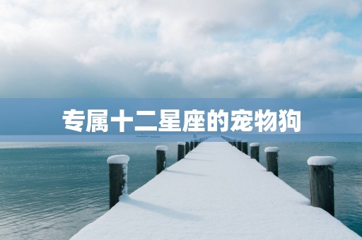 专属十二星座的宠物狗