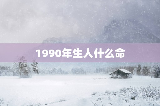 1990年生人什么命