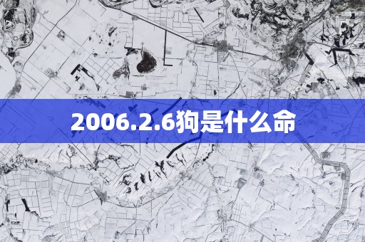 2006.2.6狗是什么命