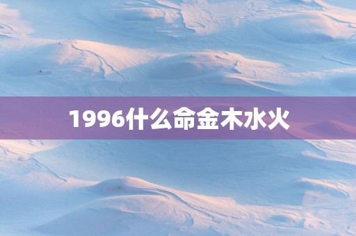 1996什么命金木水火